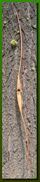 tortorelli_traditionals_wb003009.jpg